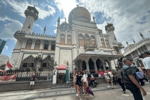 Visite à pied privée et personnalisée de Singapour