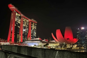 Visite à pied privée et personnalisée de Singapour