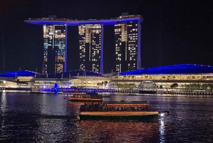 Visite à pied privée et personnalisée de Singapour