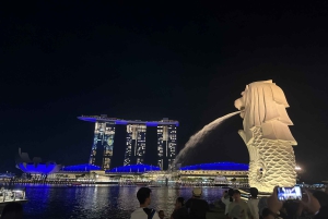 Visite à pied privée et personnalisée de Singapour