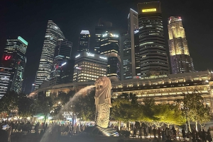 Visite à pied privée et personnalisée de Singapour