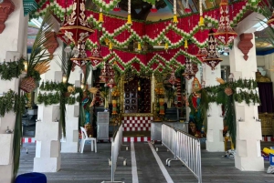 Visite à pied privée et personnalisée de Singapour