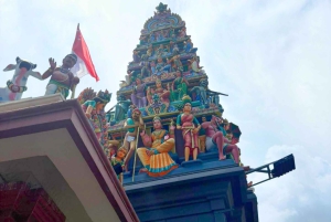 Visite à pied privée et personnalisée de Singapour