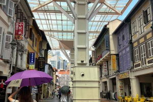 Visite à pied privée et personnalisée de Singapour