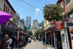 Visite à pied privée et personnalisée de Singapour