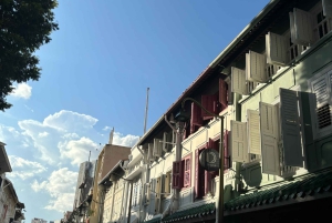 Visite à pied privée et personnalisée de Singapour