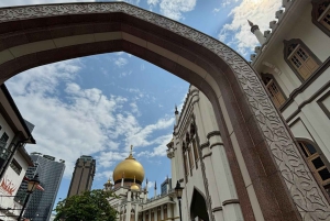 Visite à pied privée et personnalisée de Singapour