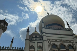 Visite à pied privée et personnalisée de Singapour