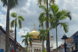 Visite à pied privée et personnalisée de Singapour