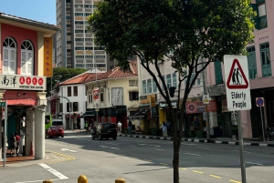 Visite à pied privée et personnalisée de Singapour