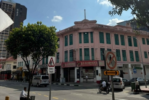Visite à pied privée et personnalisée de Singapour