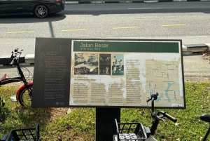 Visite à pied privée et personnalisée de Singapour