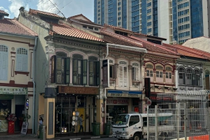 Visite à pied privée et personnalisée de Singapour