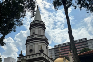 Visite à pied privée et personnalisée de Singapour