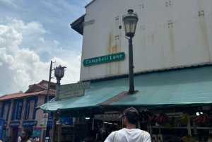 Visite à pied privée et personnalisée de Singapour