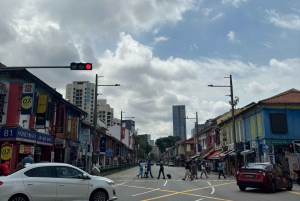 Visite à pied privée et personnalisée de Singapour