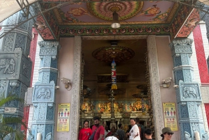 Visite à pied privée et personnalisée de Singapour