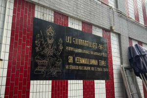 Visite à pied privée et personnalisée de Singapour