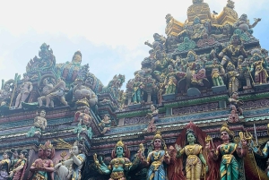 Visite à pied privée et personnalisée de Singapour