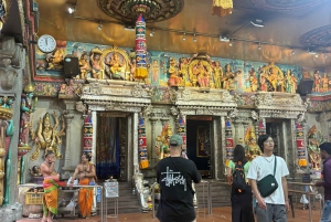 Visite à pied privée et personnalisée de Singapour