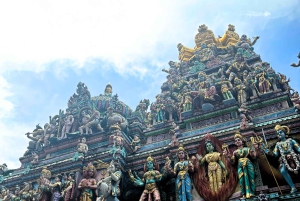 Visite à pied privée et personnalisée de Singapour