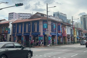 Visite à pied privée et personnalisée de Singapour