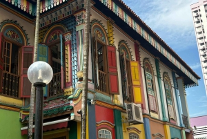 Visite à pied privée et personnalisée de Singapour