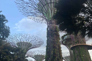 Visite à pied privée et personnalisée de Singapour