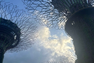 Visite à pied privée et personnalisée de Singapour