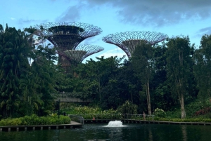 Visite à pied privée et personnalisée de Singapour