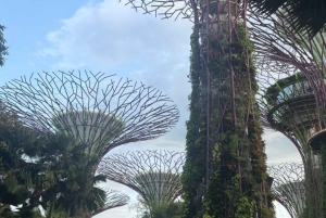 Visite à pied privée et personnalisée de Singapour