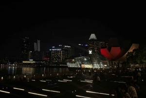 Visite à pied privée et personnalisée de Singapour