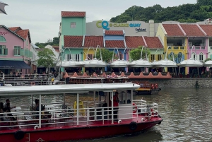 Visite à pied privée et personnalisée de Singapour