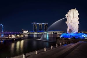 Singapore Twilights with River Cruise & Light Shows