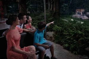 Abendausflug: Kreuzfahrt, Sentosa Sensoryscape & Wings of Time