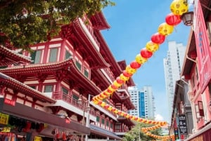 Private Chinatown Heritage Tour with Best 8 Local Tastings