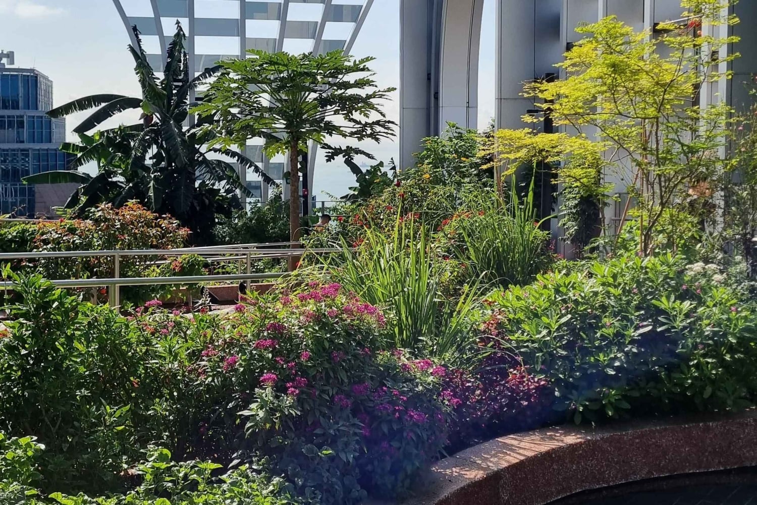 Assaporare Singapore: Un viaggio culturale nel cibo di strada