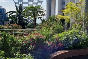 Assaporare Singapore: Un viaggio culturale nel cibo di strada