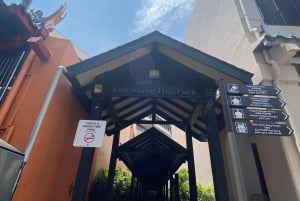 Assaporare Singapore: Un viaggio culturale nel cibo di strada