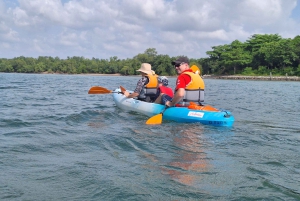 Kierros Ketamin melonta Pulau Ubinilla