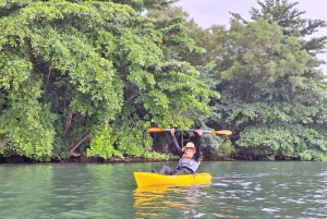 Kierros Ketamin melonta Pulau Ubinilla