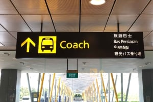 Частный трансфер из аэропорта Сингапура/круиз на 13-местном микроавтобусе