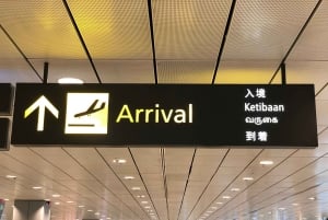 Частный трансфер из аэропорта Сингапура/круиз на 13-местном микроавтобусе