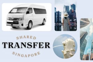 Singapore: Attractions Shared Transfers from Hotel