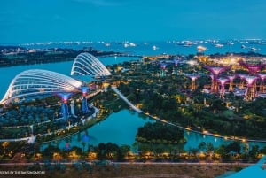 Singapore: Attractions Shared Transfers from Hotel