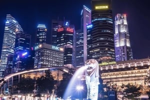 Tour nocturno con firma: Paseo por el puerto deportivo con degustación de comida