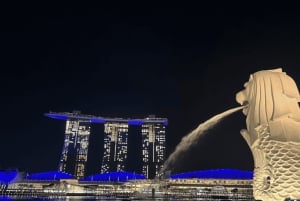 Signature Urban Night Tour: Streetfood ved solnedgang i Singapore