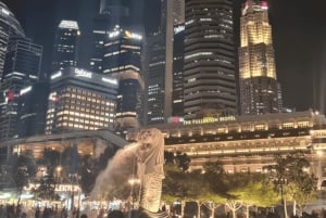 Signature Urban Night Tour: Streetfood ved solnedgang i Singapore