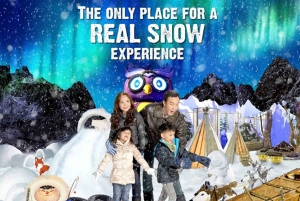 Bilet na 1 godzinę zabawy w Snow City Singapore
