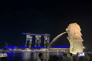 Private Customized Singapore Walking Tour